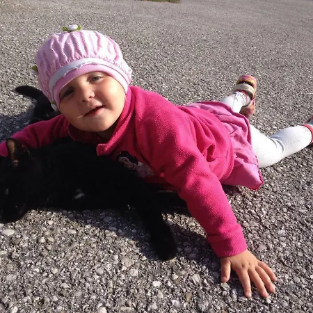 Kornihof Waidhofen an der Ybbs