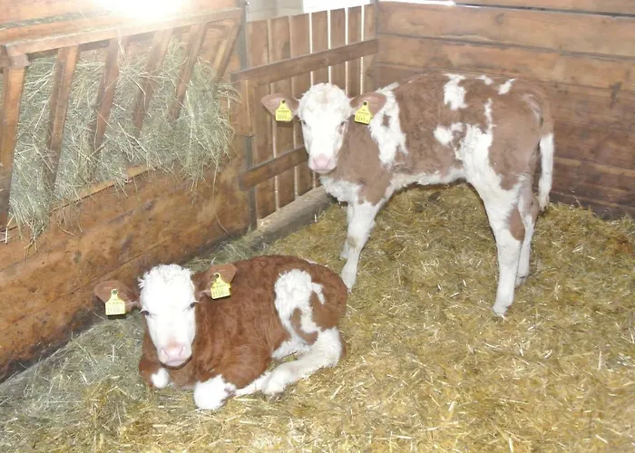 Appartement Kornihof