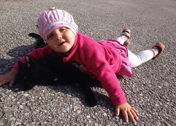 Kornihof Waidhofen an der Ybbs